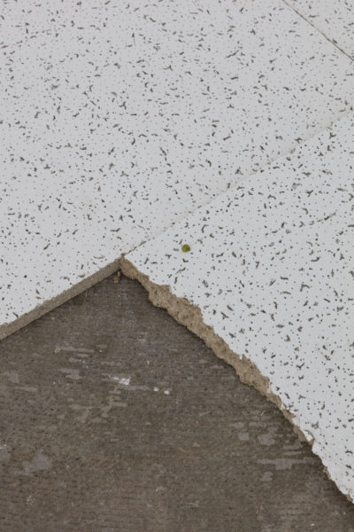 Una montaña dentro de casa (Herald St.) – anna dot