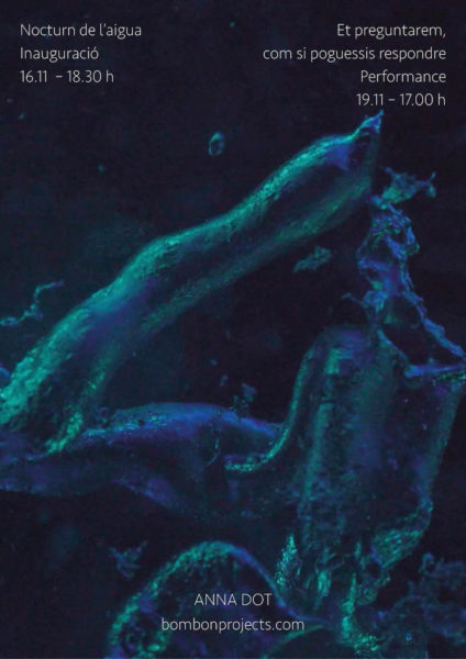Cartell "Nocturn de l'aigua", Anna Dot - Bombon Projects.