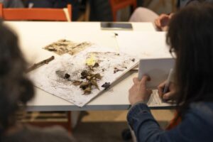 Taller d'escriptures no-humanes - Anna Dot - CCCB - Amazònies Taller d'escriptures no-humanes - Anna Dot - CCCB - Amazònies