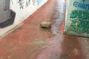 1 de juny 1 de juny: entrada al pas subterrani per la banda del parc.