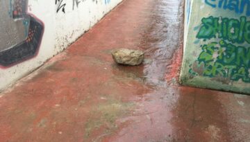 1 de juny: entrada al pas subterrani per la banda del parc.